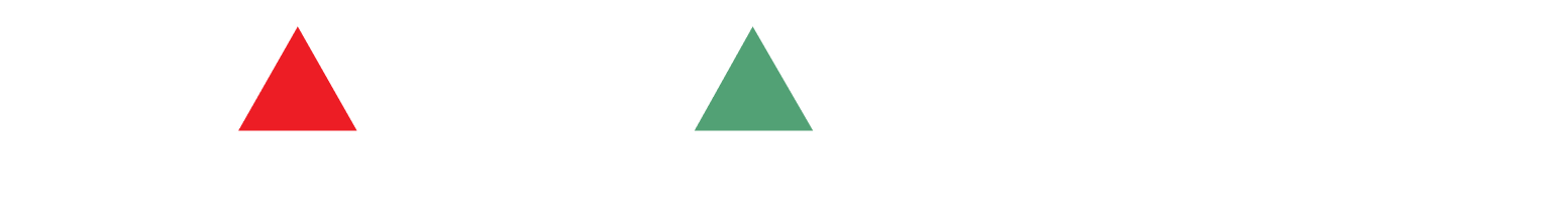Group 11